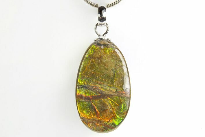 Brilliant Ammolite Pendant (Necklace) - Alberta, Canada #312499